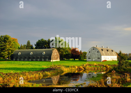 Due vecchi fienili di fronte a un piccolo stagno, Montgomery County, Upstate New York. Foto Stock