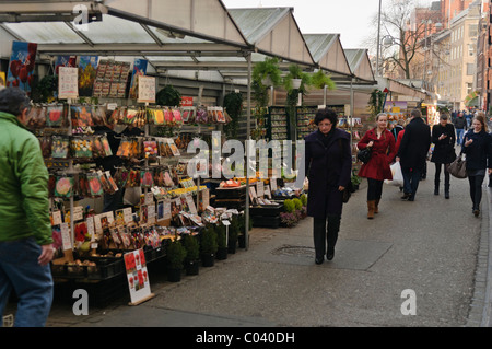 Bulbi e fiori per la vendita al Bloemenmarkt Mercato dei fiori di Amsterdam Foto Stock