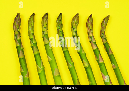 Asparagi freschi su sfondo giallo - disposizione in stile - molto dettagliata di alta qualità a 24 megapixel immagine non ritagliato Foto Stock