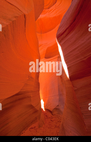 Colorate formazioni rocciose a bassa Antelope Canyon, Arizona Foto Stock