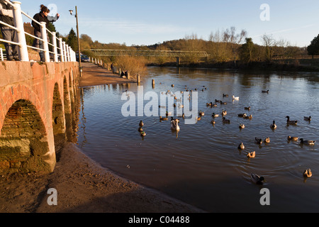 Il piccolo villaggio sul lungofiume di Arley superiore in Wyre Forest Foto Stock