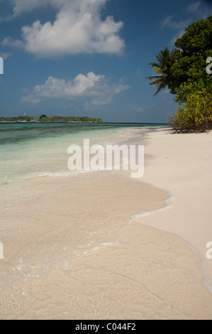 Maldive, North Male Atoll, Isola di Kuda Bandos. Foto Stock