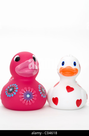 Due gomma colorata anatre su sfondo bianco Foto Stock