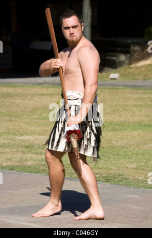 Prestazioni, Rotowhio Marae, Te Puia, Rotorua, Nuova Zelanda Foto Stock