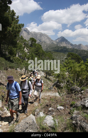 Questa è un immagine della gente che cammina in Andalucía, Spagna Foto Stock