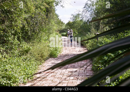 I visitatori di entrare Estero Llano Grande State Park, accolti da un valore letterale sciame di farfalle e di libellule, vicino Weslaco, Texas Foto Stock
