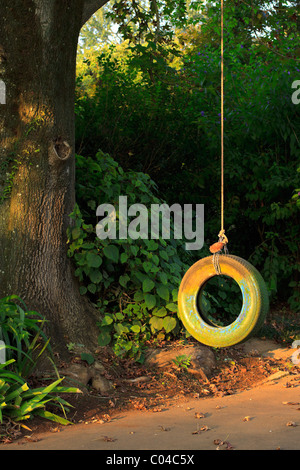 Un pneumatico swing appeso a un albero giardino. Foto Stock