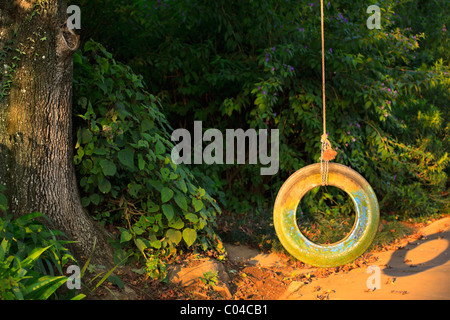 Un pneumatico swing appeso a un albero giardino. Foto Stock