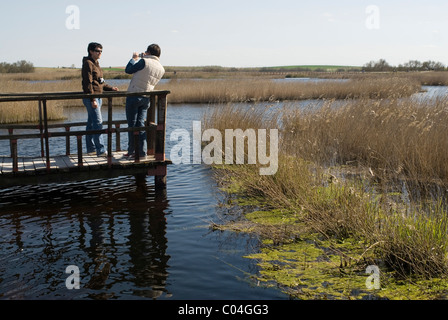 Parque Nacional de Las Tablas de Daimiel , Ciudad Real, Castilla La Mancha, in Spagna Foto Stock