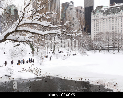 Snowstorm, The Pond, Central Park, New York 2011 Foto Stock