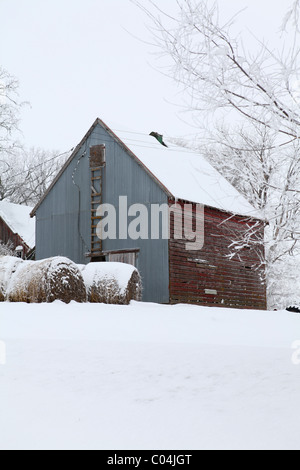 Antico presepe di mais fienile e rotonde balle di fieno sulla fattoria in Iowa con stagno e schierandosi in legno. Iowa Foto Stock