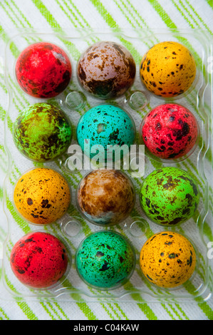 Tinte colorate pasqua uova di quaglia Foto Stock