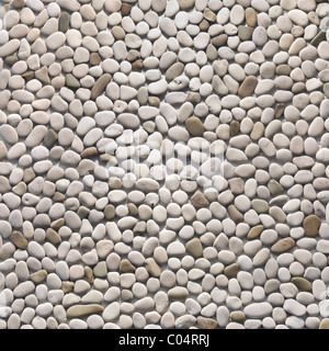 Avorio texture ciottoli sfondo. Pebblestone interni ed esterni di finitura della pietra Foto Stock