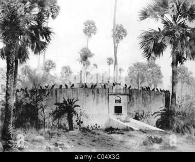 Gli avvoltoi Pesce persico sulla torre o torri di silenzio, un crematorio zoroastriana o cimitero, Bombay Mumbai, India c1880 Foto Stock