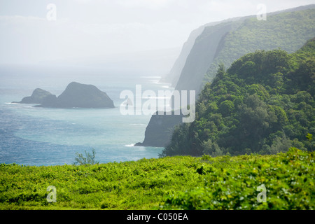 Pololu Valley, Hawaii Foto Stock