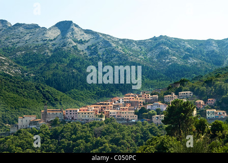 Marciana Isola d'Elba, Isola d'Elba, Toscana, Italia Foto Stock