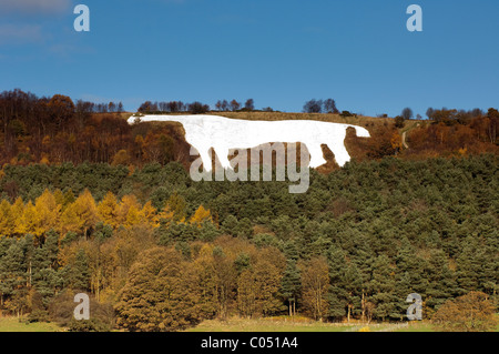 Cavallo Bianco sul fianco di una collina vicino a Kilburn sulla valle di York Foto Stock