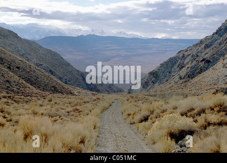 Strada di ghiaia nella Sierra orientale le montagne vicino al Vescovo, CALIFORNIA, STATI UNITI D'AMERICA Foto Stock