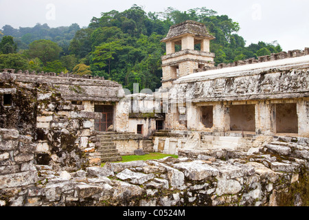 Il palazzo, Palenque, Chiapas, Messico Foto Stock