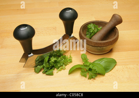 Le erbe fresche con taglierina,pestello e mortaio sul pannello di legno Foto Stock