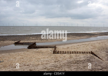 Pennelli, Caister-on-Sea, Norfolk, Regno Unito. Foto Stock