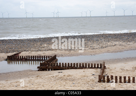 Pennelli, Caister-on-Sea, Norfolk, Regno Unito. Foto Stock