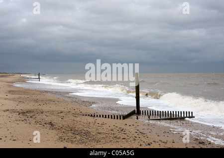 Pennelli, Caister-on-Sea, Norfolk, Regno Unito. Foto Stock