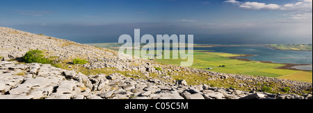 Pavimentazione di pietra calcarea, su Abbey Hill, Burren, Co Clare, affacciato Aughinish isola nella baia di Galway, Irlanda Foto Stock