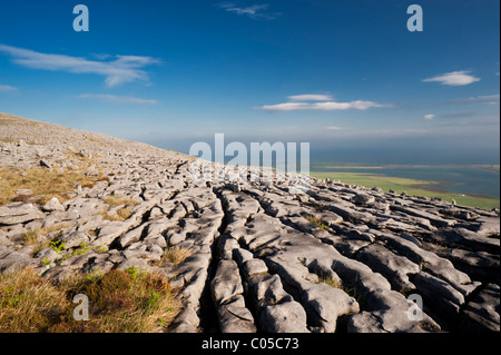 Pavimentazione di pietra calcarea, su Abbey Hill, Burren, Co Clare, affacciato Aughinish isola nella baia di Galway, Irlanda Foto Stock