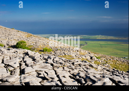 Pavimentazione di pietra calcarea, su Abbey Hill, Burren, Co Clare, affacciato Aughinish isola nella baia di Galway, Irlanda Foto Stock