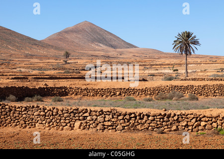 L'arido interno dell'isola a nord di Caldereta nei pressi di La Oliva sull'isola delle Canarie di Fuerteventura Foto Stock