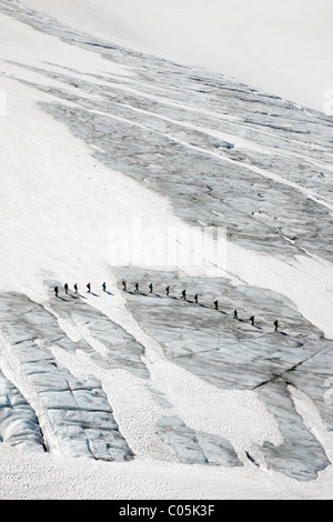 Gli escursionisti su Juklavassbreen, Folgefonna glacier, Norvegia occidentale Foto Stock