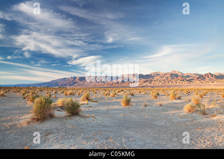 Vista del diavolo campo di mais nella Death Valley vicino a tubo da stufa pozzetti (California) Foto Stock