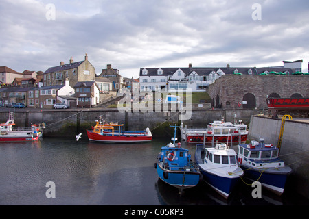 Il porto di Seahouses con il "Castello di Bamburgh' e 'Olde nave' Inn sulla banchina con barche ormeggiate nel porto Foto Stock