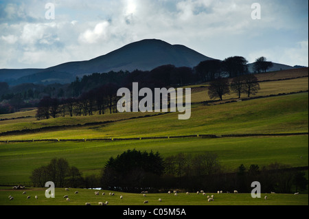 Pentland Hills vicino al West Linton, Scottish Borders Foto Stock