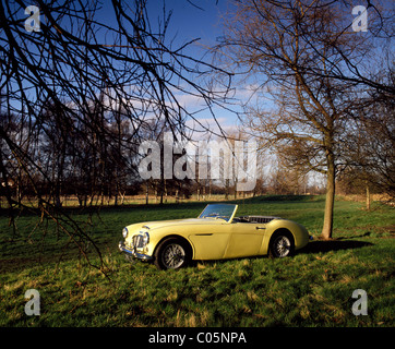 Austin Healey 100-Sei da circa 1957 Foto Stock