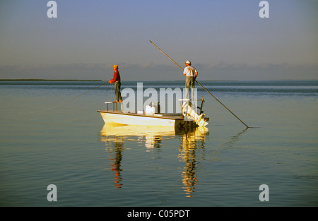 I pescatori di osso di pesca a mosca in acque poco profonde off Islamorada in Florida Keys Foto Stock