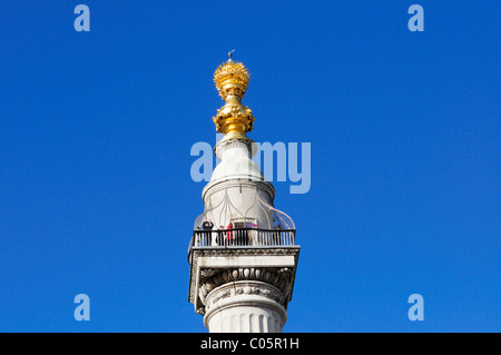 Grande Incendio di Londra monumento, London, England, Regno Unito Foto Stock