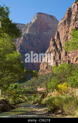 Ponte sul fiume vergine al pool di smeraldo trail, Lady Mountain dietro, Parco Nazionale Zion, Utah, Stati Uniti d'America Foto Stock