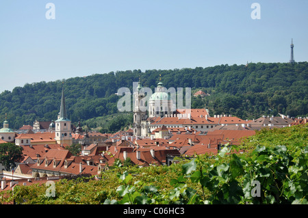 Vista di Praga dal vigneto San Venceslao Svatovaclavska vinice, Città Vecchia, Praga, Repubblica Ceca, Europa Foto Stock