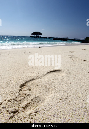 Ingombro con la sabbia della spiaggia, Kuramathi Island Resort, Kuramathi, Rasdhoo Atoll, Maldive Foto Stock