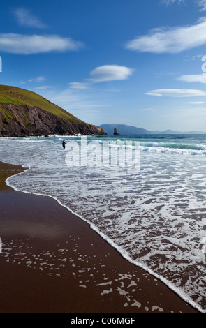 Surfers su Dun Cin Tire Beach, vicino alla città di Dingle, penisola di Dingle, nella contea di Kerry, Irlanda Foto Stock