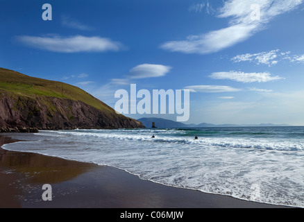 Surfers su Dun Cin Tire Beach, vicino alla città di Dingle, penisola di Dingle, nella contea di Kerry, Irlanda Foto Stock