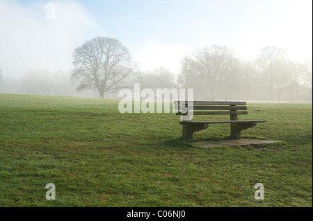 Svuotare una panchina nel parco in una nebbiosa mattina. Foto Stock