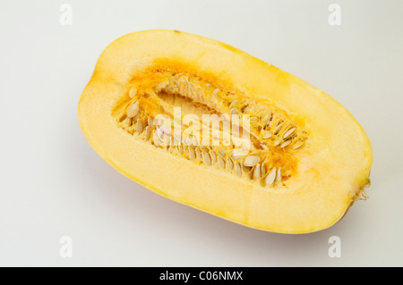 Spaghetti Squash (Cucurbita pepo), metà del frutto. Studio Immagine contro uno sfondo bianco. Foto Stock