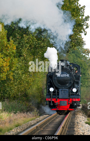 Il treno a vapore Rasender Roland / Rushing Roland, Ruegen isola, Meclemburgo, Pomerania Occidentale, Germania Foto Stock