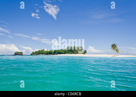Isola deserta con palme sulla sandbank Foto Stock