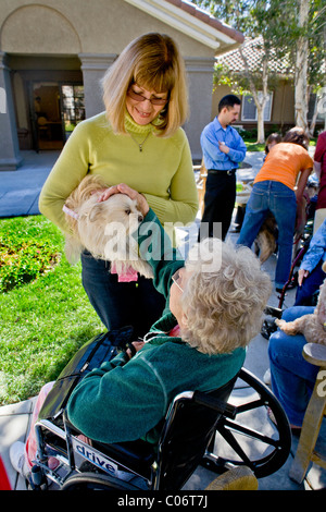 Una donna di carità volontario introduce il suo cane terapia ad un paziente in una casa di riposo in Mission Viejo, California. Foto Stock