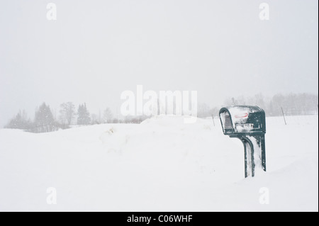 Una casella di posta o di una casella di posta durante la caduta di neve in New Brunswick canada Foto Stock