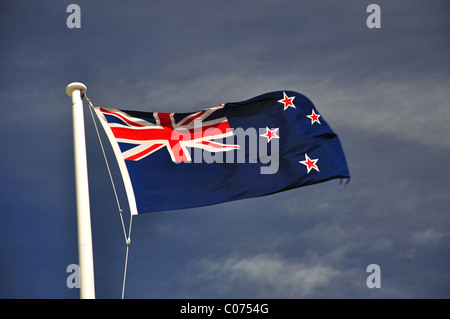 Bandiera della Nuova Zelanda, il museo della Nuova Zelanda Te Papa Tongarewa, cavo Street, Wellington, Regione di Wellington, Nuova Zelanda Foto Stock